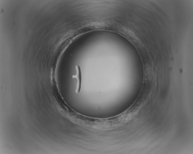 X0000068830024200605051248