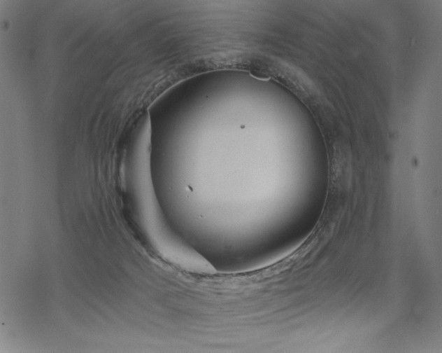 X0000068830025200605051248