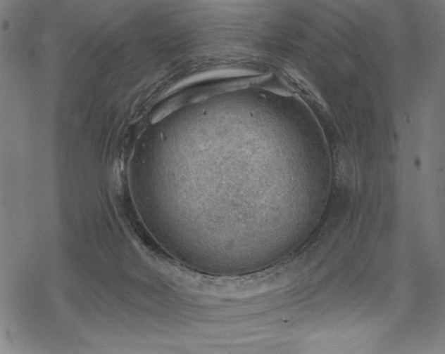 X0000068830026200605051248