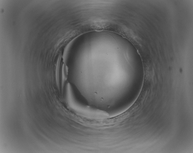 X0000068830027200605051248