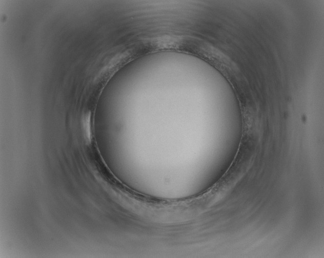 X0000068830028200605051248