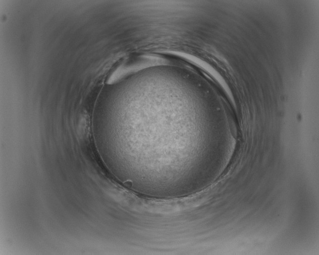 X0000068830029200605051248