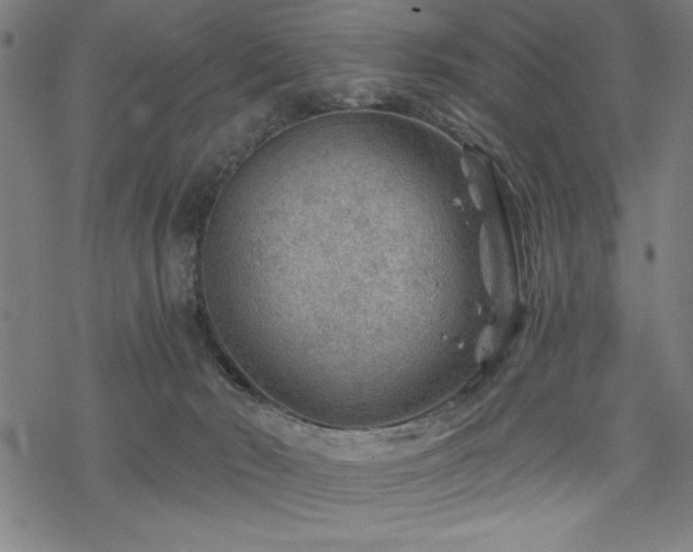 X0000068830030200605051248