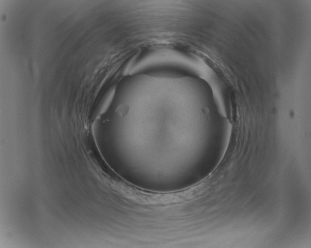 X0000068830031200605051248