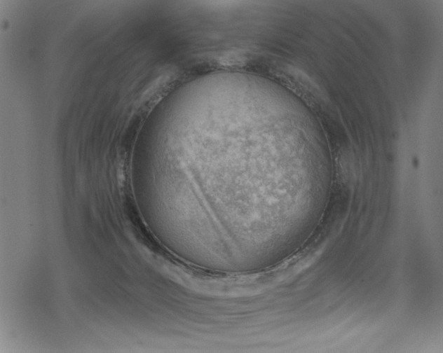 X0000068830032200605051248