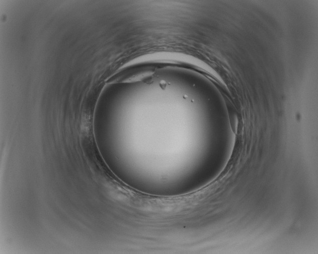 X0000068830033200605051248