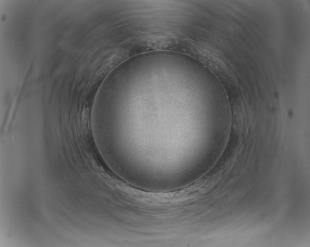 X0000068830034200605051248