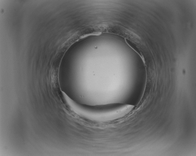 X0000068830037200605051247