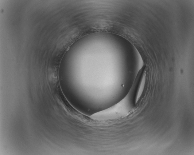 X0000068830040200605051247