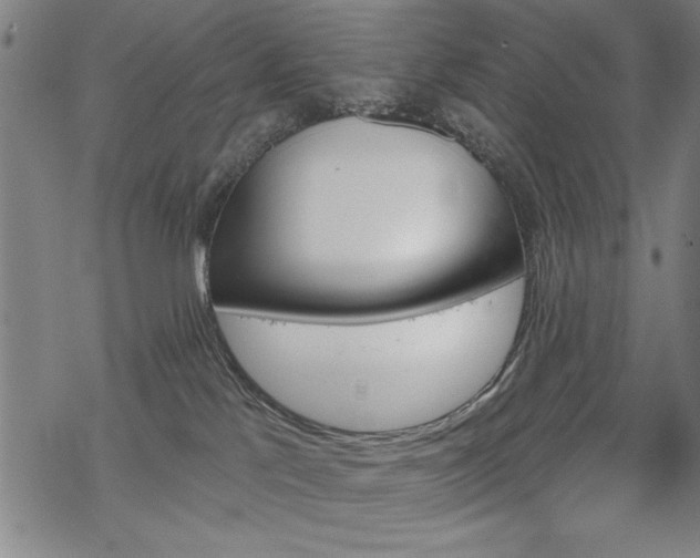 X0000068830041200605051247