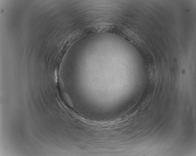 X0000068830042200605051247