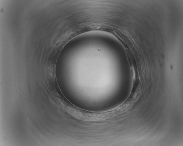 X0000068830044200605051247