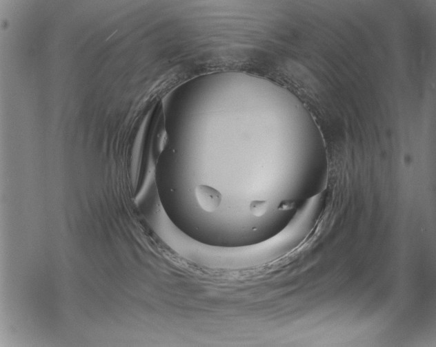 X0000068830045200605051247