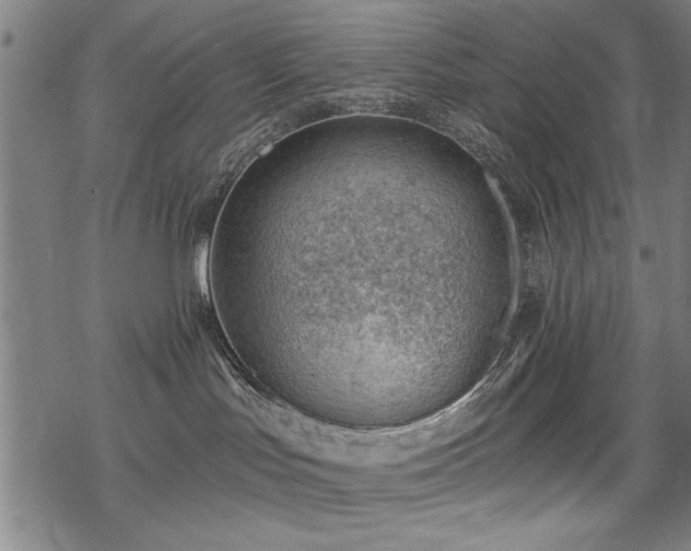 X0000068830047200605051247