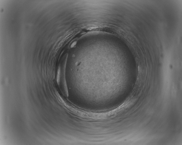 X0000068830048200605051247