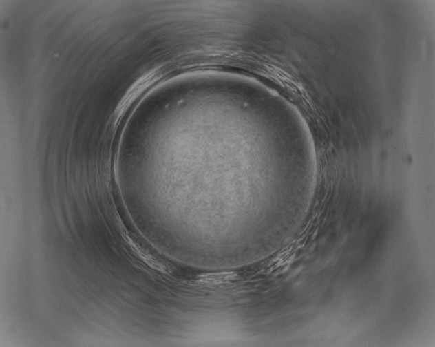 X0000068830051200605051247