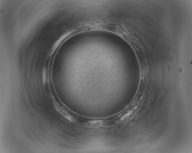 X0000068830052200605051247