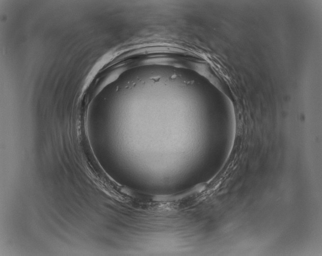 X0000068830056200605051247