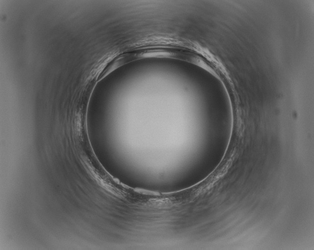 X0000068830057200605051247