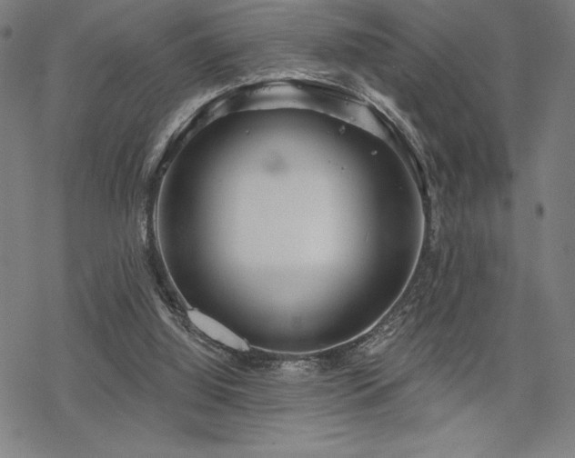 X0000068830060200605051247