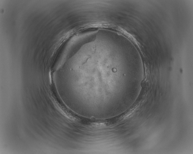 X0000068830061200605051247