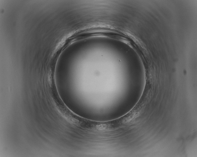 X0000068830064200605051247