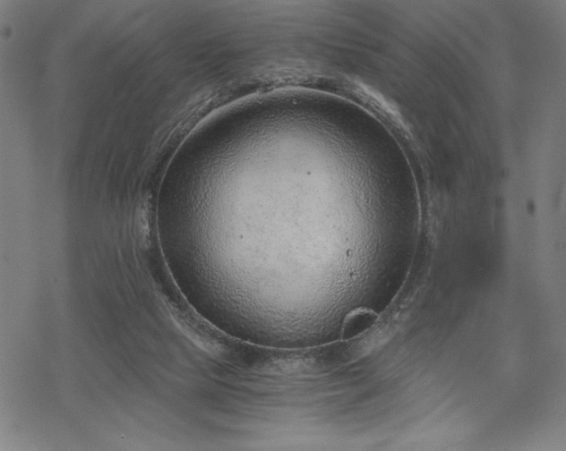 X0000068830065200605051247