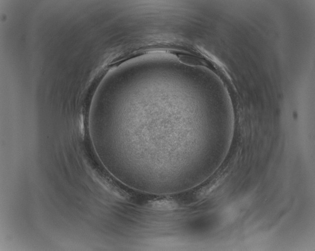 X0000068830067200605051247