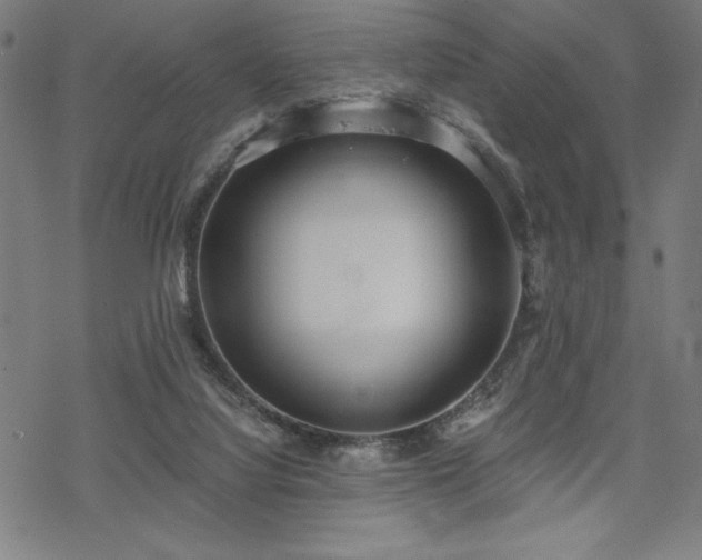 X0000068830068200605051247