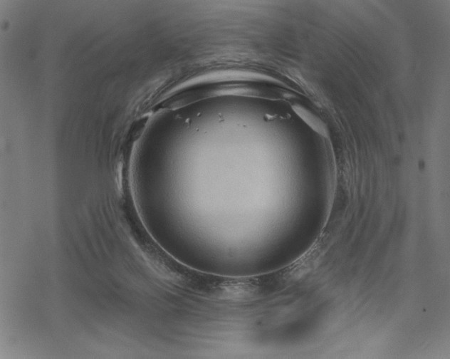 X0000068830070200605051247