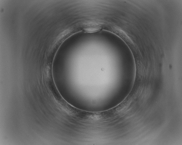 X0000068830071200605051247