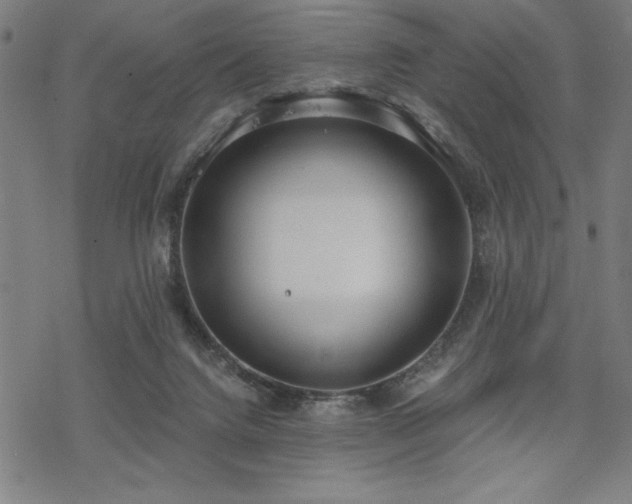 X0000068830072200605051247