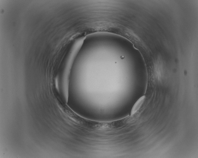 X0000068830074200605051247