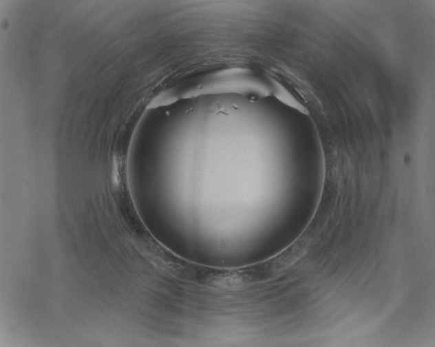 X0000068830075200605051247