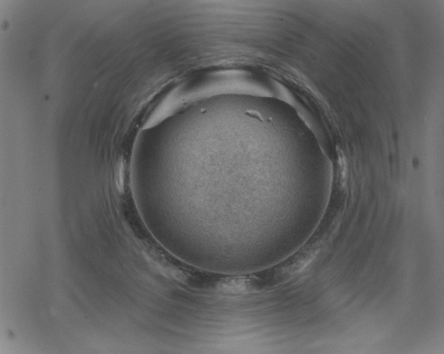 X0000068830076200605051247