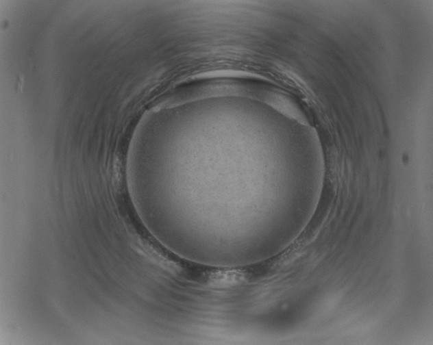 X0000068830077200605051247