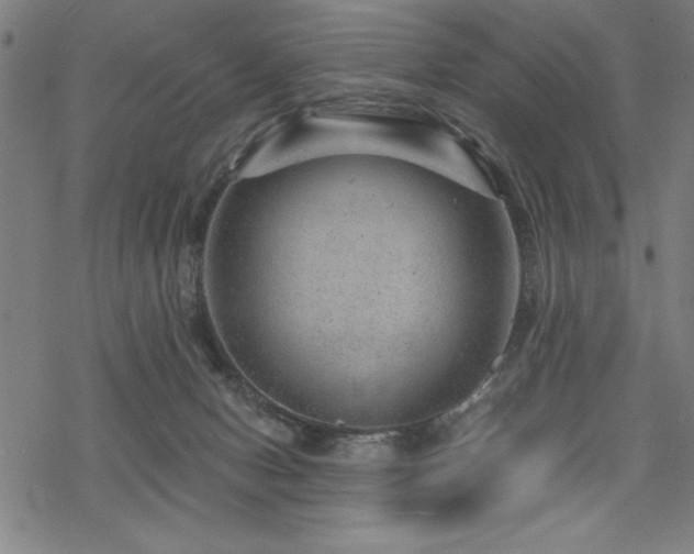 X0000068830078200605051247