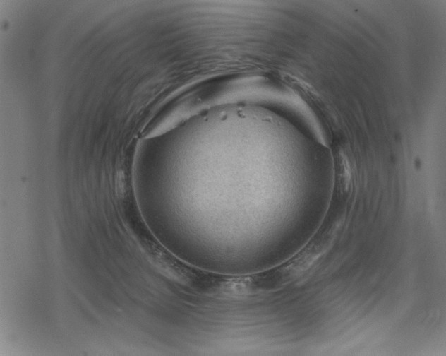 X0000068830080200605051247