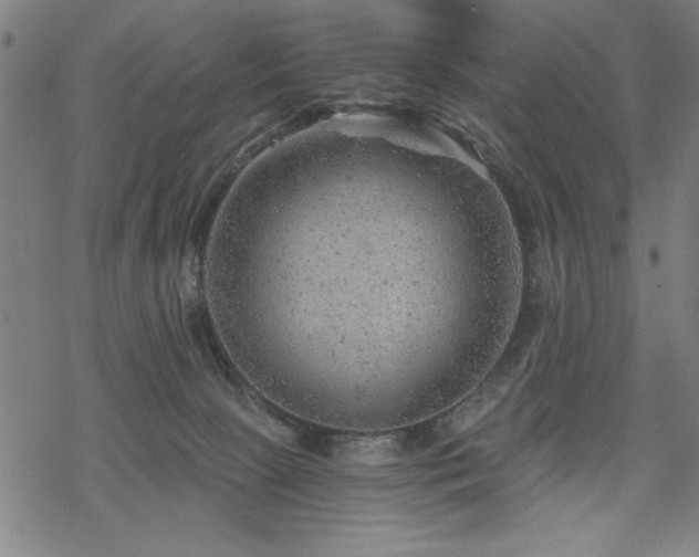 X0000068830081200605051247