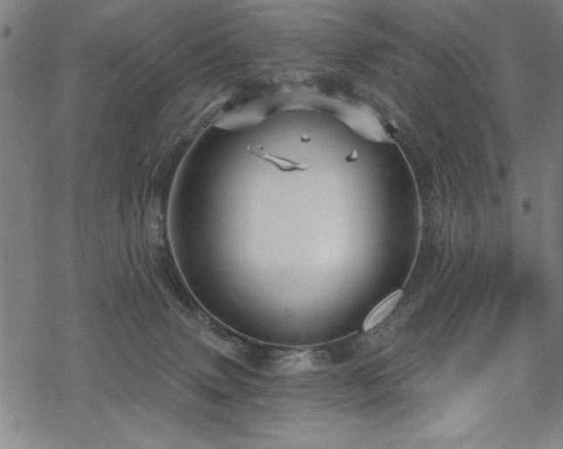 X0000068830083200605051247