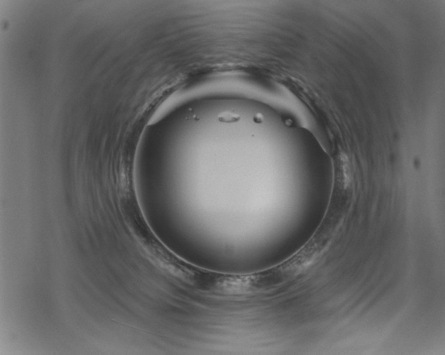 X0000068830084200605051247