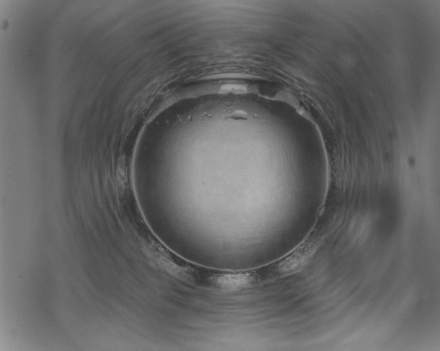 X0000068830085200605051247