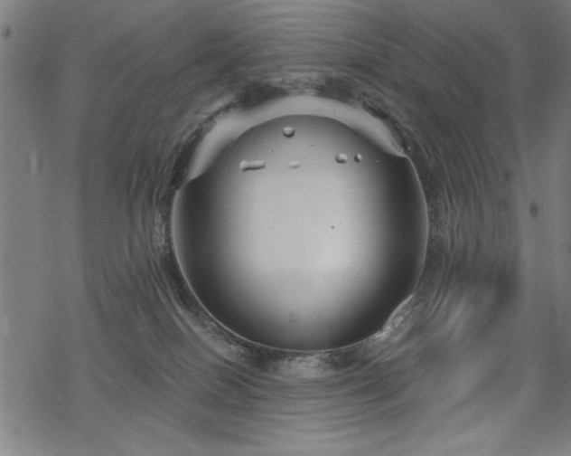 X0000068830086200605051247