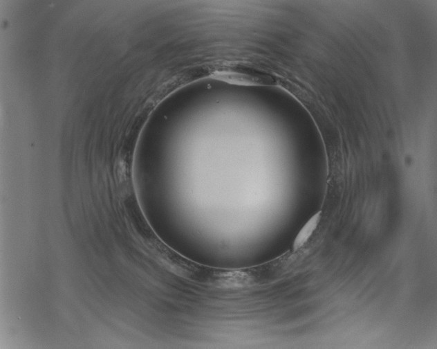 X0000068830087200605051247