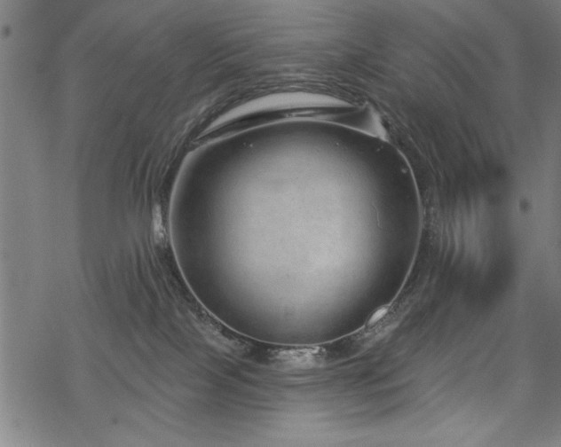 X0000068830089200605051247