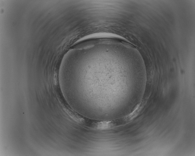 X0000068830090200605051247