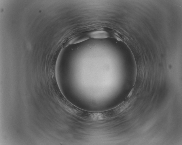 X0000068830091200605051247