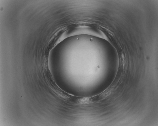 X0000068830092200605051247