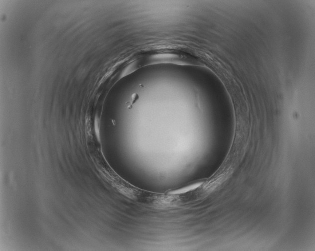 X0000068830096200605051247