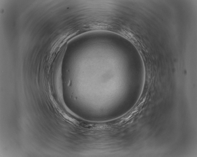 X0000068830097200605051247